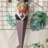 畢業小熊花束